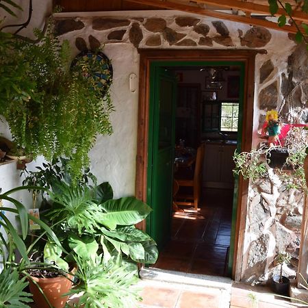 La Casa De Los Pinos Темисас Экстерьер фото